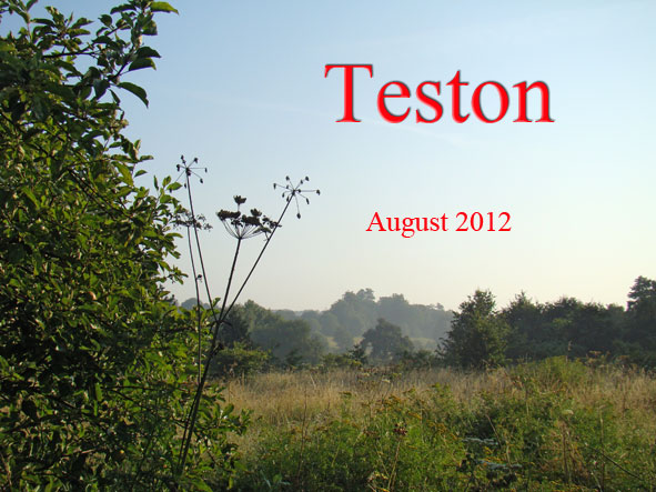 1. Green grow the rushes oh - and lots of other stuff too! 1 - Green grow the rushes oh - and lots of other stuff too!